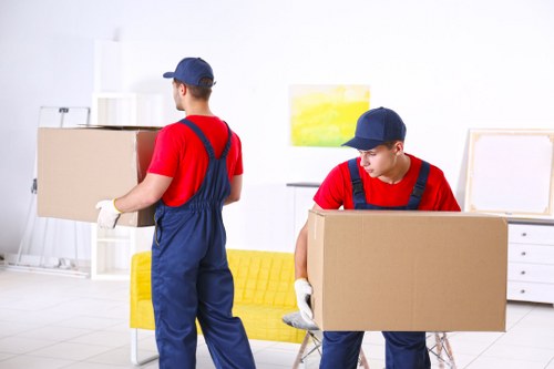 Man with van service in Surrey helping with a local move